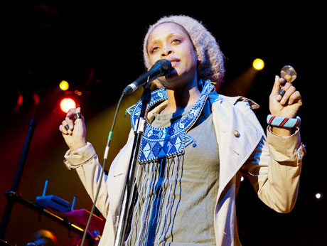Erykah Badu Comes Under Fire from Human Rights Group After Performing at Swazi King's Birthday 