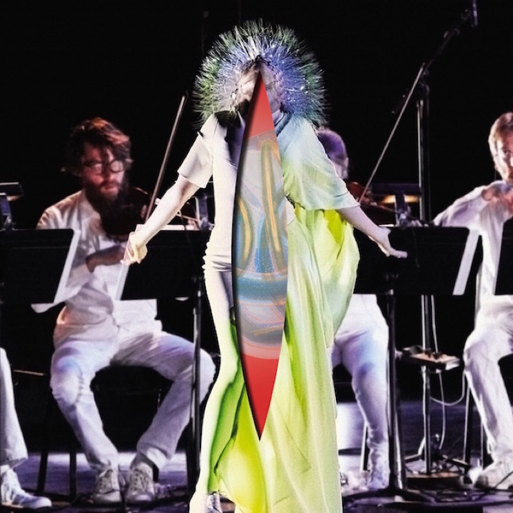 Björk Overhauls 'Vulnicura' for 'Acoustic Version' 