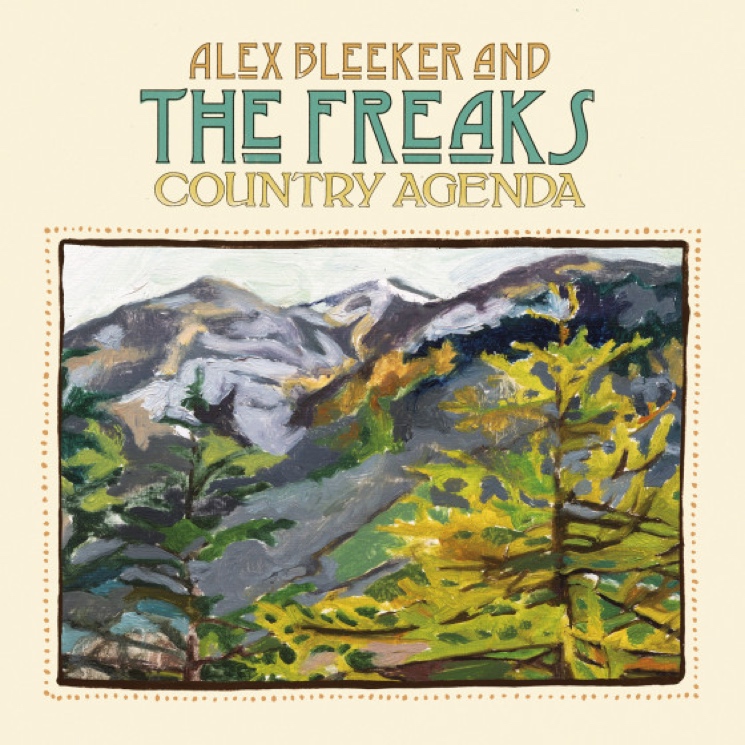 Alex Bleeker & the Freaks Announce 'Country Agenda' LP 