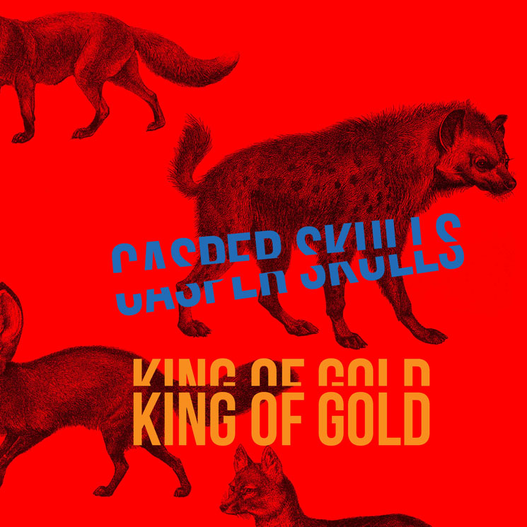 Casper Skulls 'King of Gold'