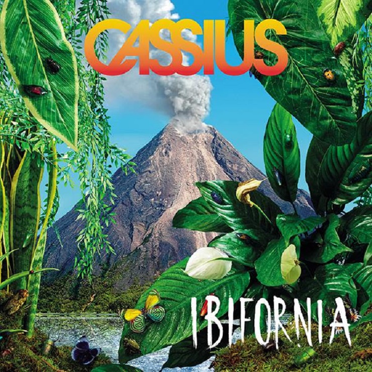 Cassius 'Ibifornia'