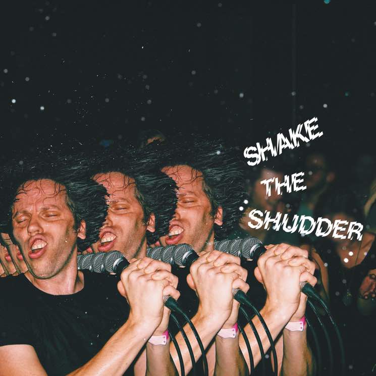 ​!!! Announce 'Shake the Shudder' Album, Share 'The One 2' Video 