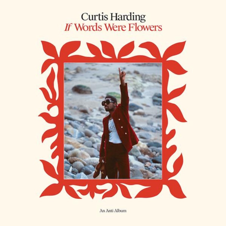 Curtis Harding's 'If Words Were Flowers' Blooms with Love and Optimism 