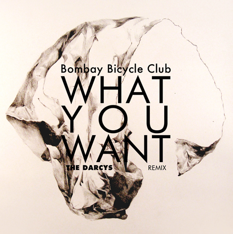 Bombay Bicycle Club 'What You Want' (the Darcys remix)