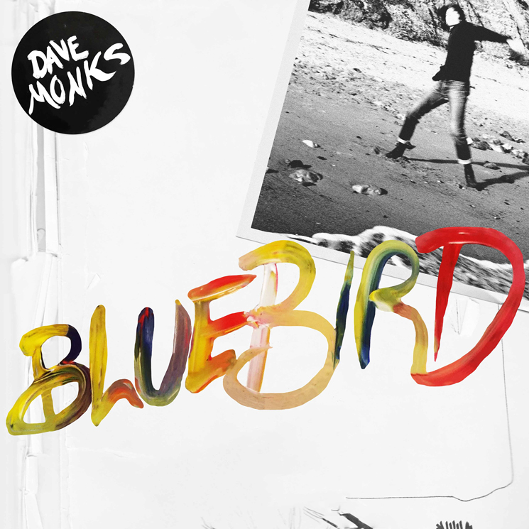 Tokyo Police Club's Dave Monks Shares New Song 'Bluebird' 