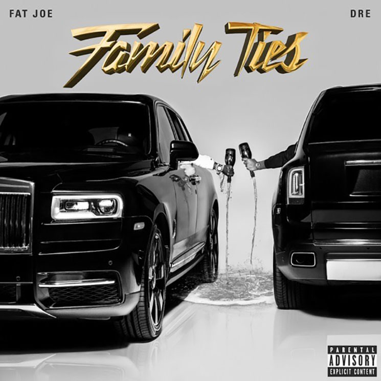 Fat Joe and Dre Family Ties