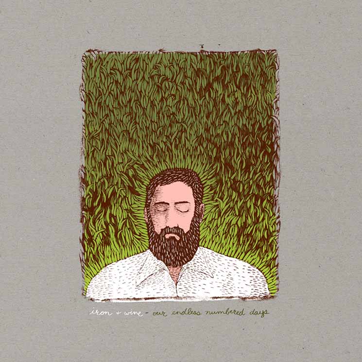 Iron & Wine Our Endless Numbered Days (Deluxe Edition)
