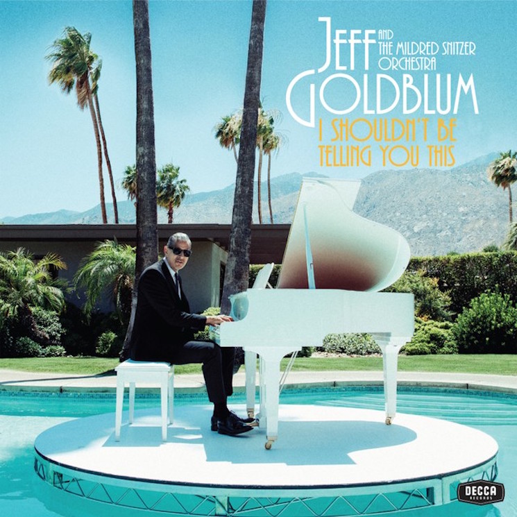 Jeff Goldblum Taps Sharon Van Etten, Fiona Apple, Anna Calvi for Piano Duets Album 