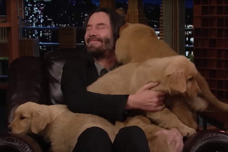Watch Keanu Reeves Get Dogpiled by Puppies on 'The Tonight Show' 