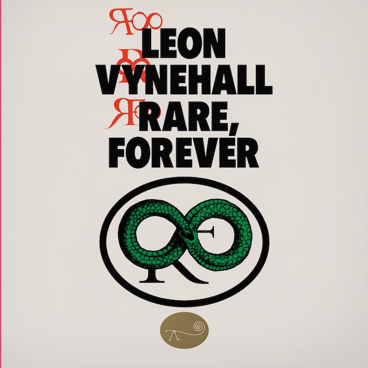 Leon Vynehall Finds Himself to Be the Ultimate Muse on 'Rare, Forever' 