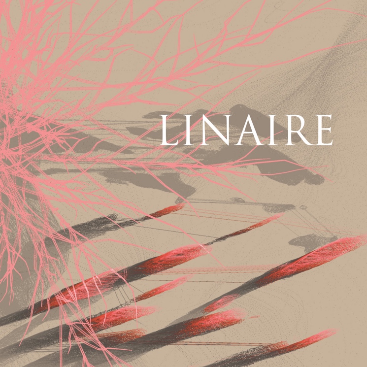 Linaire Arrives Fully-Formed on Self-Titled Debut 