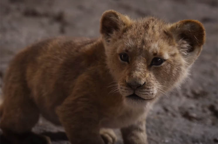 ​Watch the Epic Trailer for Disney's Live-Action 'Lion King' 