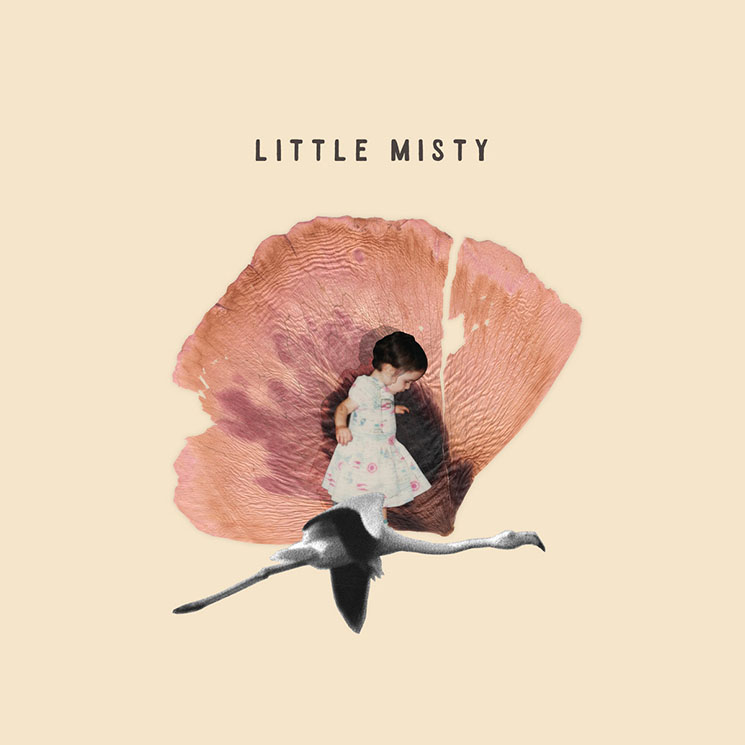 Little Misty Little Misty