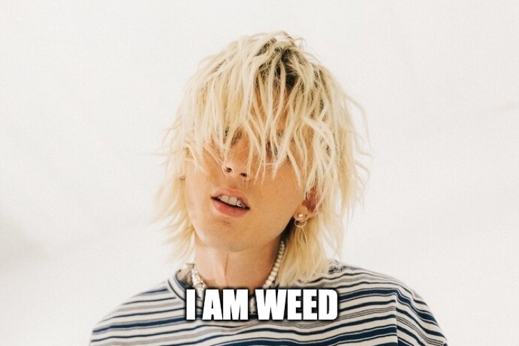 Twitter Reacts to 'I Am Weed'  