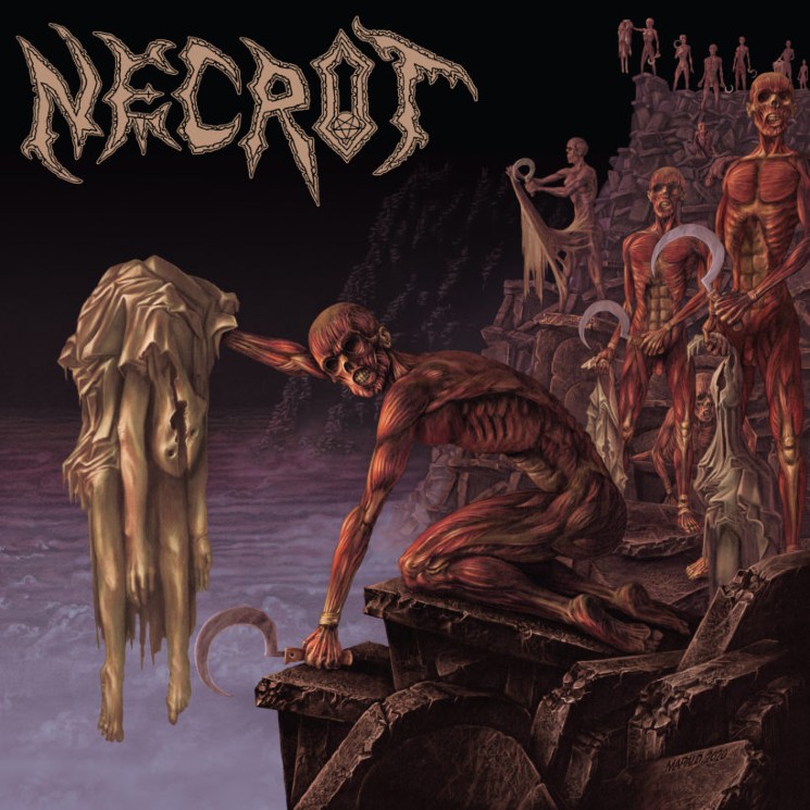 Necrot's Death Metal Is Relentlessly Full-Throttle on 'Mortal' 