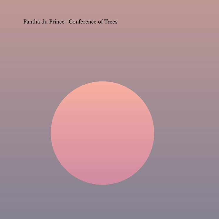 Pantha du Prince Conference of Trees