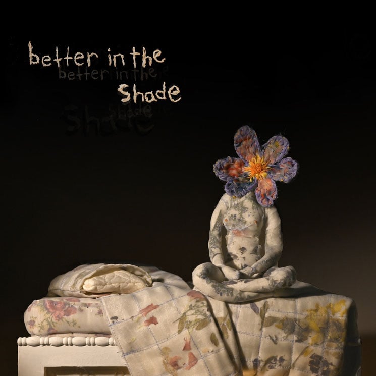 Patrick Watson Turns a New Page on 'Better in the Shade' 