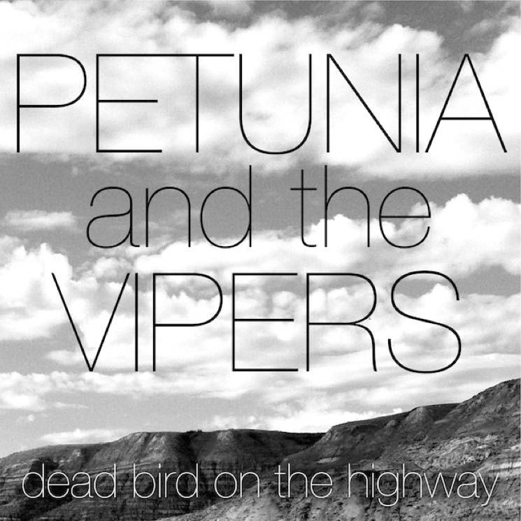 Petunia & the Vipers 'Dead Bird on the Highway' (album stream)