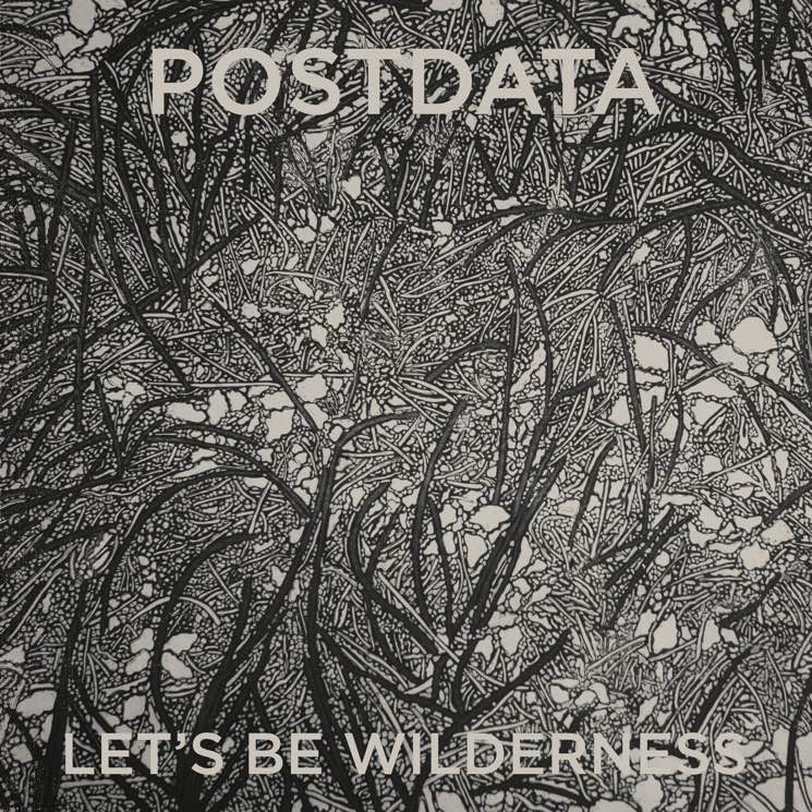 Postdata 'Let's Be Wilderness' (album stream)