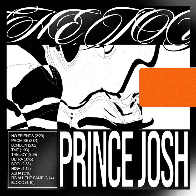 Prince Josh The Joy