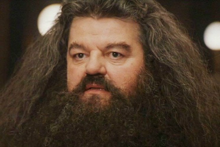 Hagrid Actor Defends J.K. Rowling's Controversial Stance on Transgender Identities 