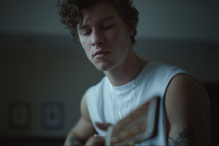 Shawn Mendes Documentary 'In Wonder' Offers a One-Dimensional Portrait of Its Subject Directed by Grant Singer