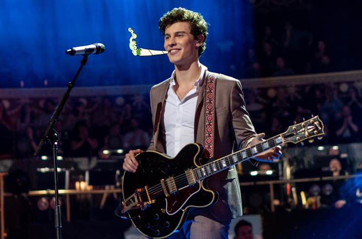 ​Shawn Mendes Admits 'I Love Weed' 