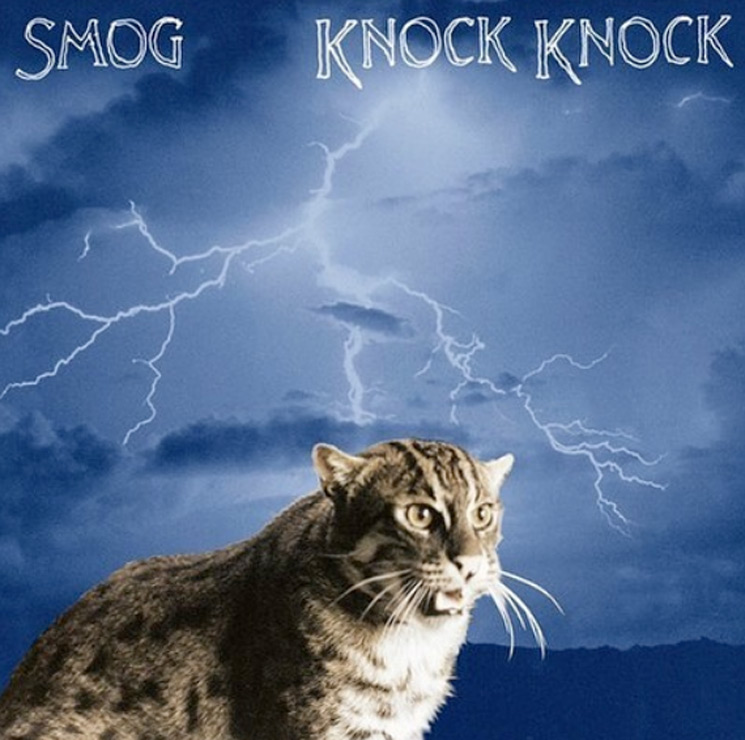 Smog's Classic 'Knock Knock' Gets 20th Anniversary Vinyl Reissue 