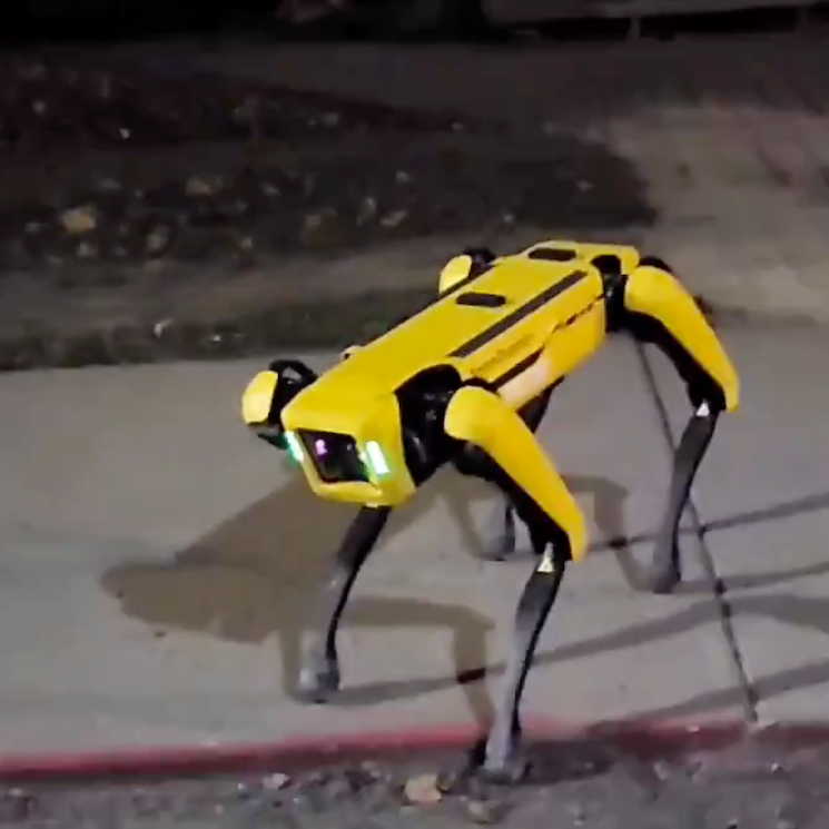 A 'Black Mirror'-Style Robot Dog Was Spotted in the Wild and People Are Freaking Out 