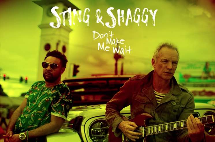 ​Sting and Shaggy Are Releasing a Collaborative Album on 4/20 and the First Single Is Here 
