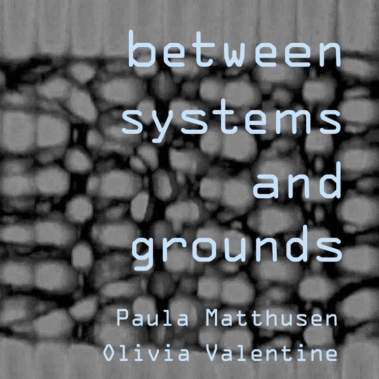 Paula Matthusen and Olivia Valentine Between Systems and Grounds