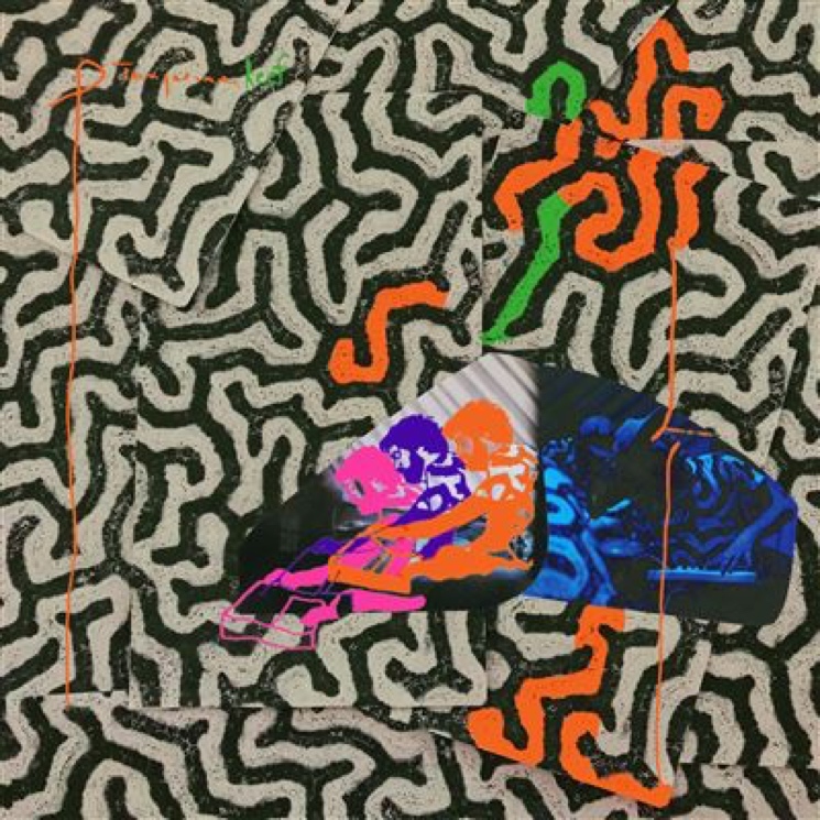 Animal Collective Detail 'Tangerine Reef' LP 