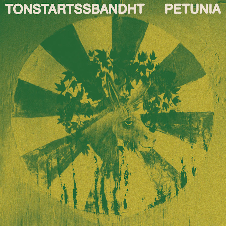 Tonstartssbandht Detail New Album 'Petunia,' Share 'What Has Happened' Video  