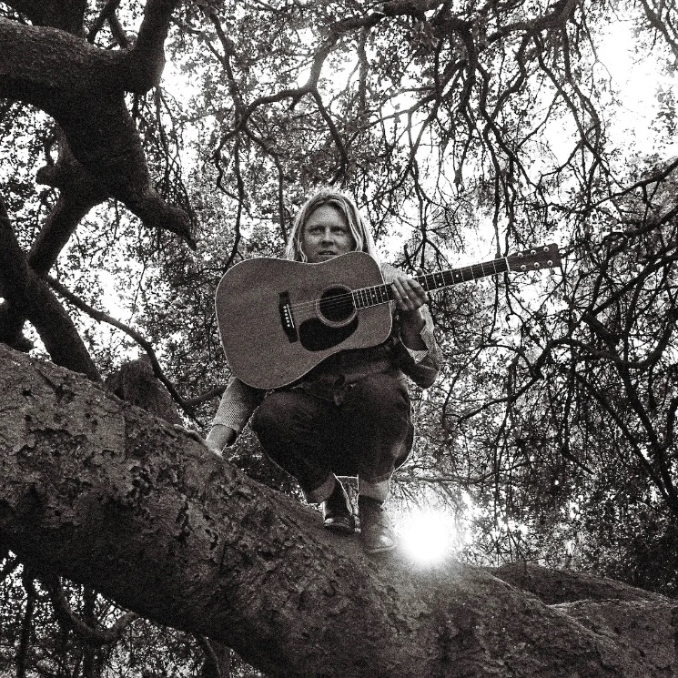 Ty Segall Extends a Tense Greeting on 'Hello, Hi' 