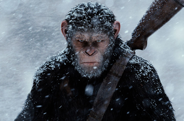  An Essential Guide to the 'Planet of the Apes' Films 