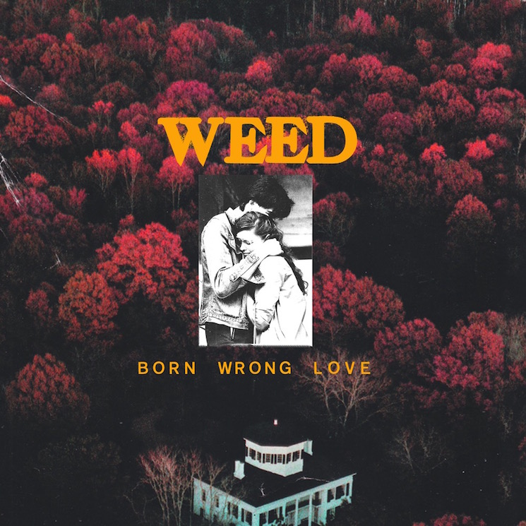 Weed Born Wrong Love