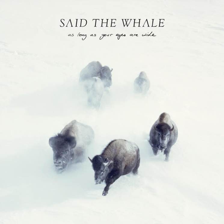 ​Said the Whale Return with New Album 