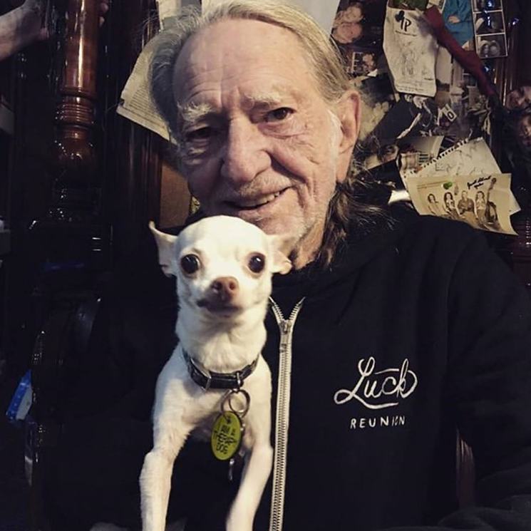 Willie Nelson Is Making CBD Products for Pets 